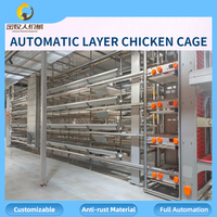 Vente en gros de cages automatiques pour poules pondeuses, équipement d'élevage avicole, vente directe d'usine, 90-160 oiseaux par cage, personnalisable