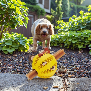 Trong Kho Thân Thiện Với Môi Phim Hoạt Hình Vật Nuôi Chew Đồ Chơi Cắn Chống Răng Răng Răng Làm Sạch Dưa Hấu Câu Đố Bóng Con Chó Đồ Chơi - Product Image 4