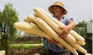 Logo personnalisé Produits de salle de bain Accessoires Ensembles de bain Tampon exfoliant Brosse Éponge Épurateurs Sac de savon en sisal Luffa naturel - Product Image 6