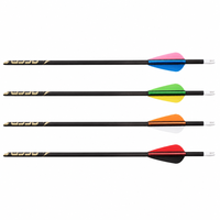 Arc Recurve en Carbone Pur Léger et Durable, Pointe en Acier de 4,2 mm ou 6,2 mm, Personnalisable, pour Chasse et Tir, 31 Pouces