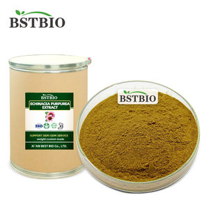 BSTBIO polifenoles 4% 7% ácido de achicoria 4% polvo de extracto de equinácea purpurea - Product Image 3