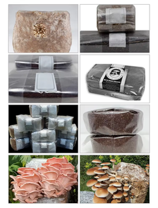 Máquina de llenado de bolsas de cultivo de setas, equipo de embolsado automático Horizontal para desove de hongos negros Shiitake - Product Image 4