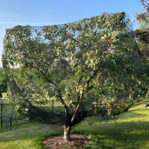 Filet anti-oiseaux personnalisé sans nœuds en HDPE résistant aux UV pour volailles, arbres fruitiers, myrtilles, légumes et <span class=keywords><strong>protection</strong></span> de jardin - Product Image 2