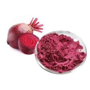 Poudre de Betterave <span class=keywords><strong>Rouge</strong></span> Séchée Sauvage de Haute Qualité 99% Qualité Alimentaire Couleurs Naturelles Colorant Alimentaire en Poudre - Product Image 3