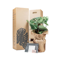 Boîte d'expédition en carton ondulé pour plantes succulentes, boîte d'emballage écologique pour plantes vivantes, conception de logo