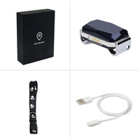 Collier de chien réglable en ABS noir avec gemme bleue, traceur GPS sans fil, clôture électronique, étanche, écologique, boucle métallique tendance
