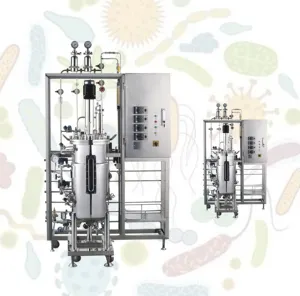 Ruiyuan Fermentor Roestvrijstalen Fermentor/Fermentatietank Fermentatie/Roestvrij Gisting