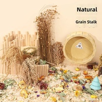 Friandises à mâcher naturelles en graine de millet et d'épi de blé pour hamsters et petits animaux, décoration de cage, fleurs séchées, graines de lin, vente en gros