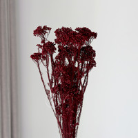 Bunga Kering Warna Merah Anggur Amaranthus Gypsophila Anna Hydrangea Buket Besar untuk Dekorasi Pusat Meja Acara  Grosir
