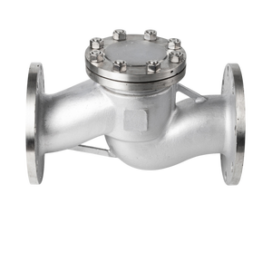 1 inch 304 thép không gỉ H41W-16P ngang mặt bích Lift kiểm tra van một chiều nước kiểm tra van - Product Image 5