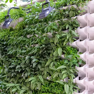 バルコニーの装飾のためのバルク積み重ね可能な自己散水ポットの水耕栽培システムフラワーポット
