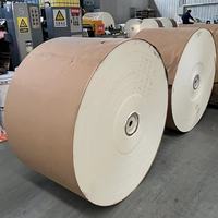 Rouleau de carton PE haute densité double face pour gobelets à café avec sucre, produit de qualité alimentaire