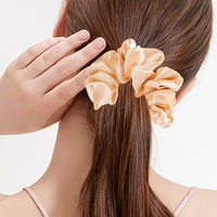 Coffret Cadeau d'Accessoires de Coiffure Professionnels : Brosse Démêlante à Poils de Sanglier Ventilée avec Pinces à Cheveux et Élastiques