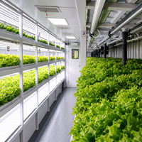 Usine de culture hydroponique verticale de qualité commerciale, prête à l'emploi solaire, pour conteneur de 40 pieds, idéale pour les légumes-feuilles et la laitue bébé