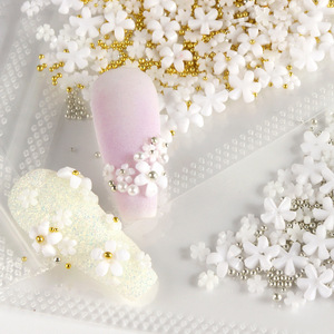Adornos de <span class=keywords><strong>Uñas</strong></span> de Diseño, <span class=keywords><strong>Flores</strong></span> Acrílicas en Resina 3D, <span class=keywords><strong>Flores</strong></span> Secas Decorativas para <span class=keywords><strong>Uñas</strong></span> Postizas - Product Image 1