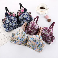 Soutien-gorge floral brodé dos nu à coupe mi-coupe et décolleté plongeant pour femme, lingerie sexy à séchage rapide, vente en gros