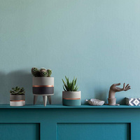 Prêts à être expédiés, pots à fleurs en ciment nordiques pour l'intérieur, décoration moderne de luxe pour la maison de haute qualité avec support en bois