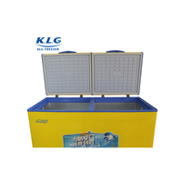 Congélateurs coffres électriques AC/DC blancs à porte pliante, 220L, mini-congélateur coffre à température unique pour usage domestique et hôtelier