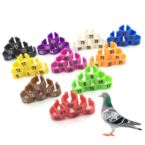100 pièces/sac NO.1-100 Bagues pour pigeons, cailles et perroquets de 10 mm, bagues de patte colorées en plastique pour l'entraînement des oiseaux - Product Image 1