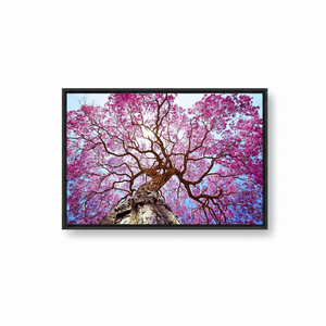 Printed Canvas Artwork: Nature Landscape Decor - Elegant Pink Blossom,<b>BLACK</b> <b>FRAMED</b> CANVAS - Product Image 2