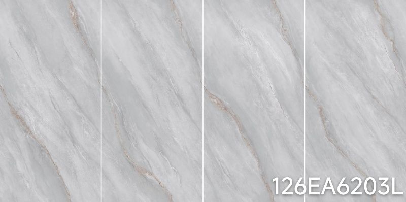 126EA6203L   126EA6203L   126EA6203L