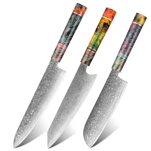 8 Zoll Kochmesser Damaskus High Carbon Edelstahl Küchenmesser Stabiles Holz Rundes Gyuto Santoku Messer