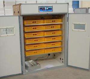 Nuova <span class=keywords><strong>Incubatrice</strong></span> per <span class=keywords><strong>Uova</strong></span> di Gallina e <span class=keywords><strong>Tacchino</strong></span> LK-1056 con Rotazione Automatica delle <span class=keywords><strong>Uova</strong></span>, Alta Produttività, Tasso di Schiusa del 95%, Garanzia di 1 Anno - Product Image 5