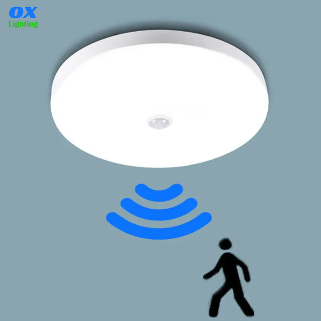 220V 12W 5W Lampara Led De Luna Ceiling Mounted Modern Automatic Induction Motion Sensor PIR Smart Home Light