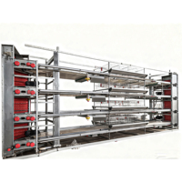 Cage à poulets de chair de type H entièrement automatique galvanisée à chaud pour ferme avicole moderne, système d'élevage haute densité à 3-8 niveaux