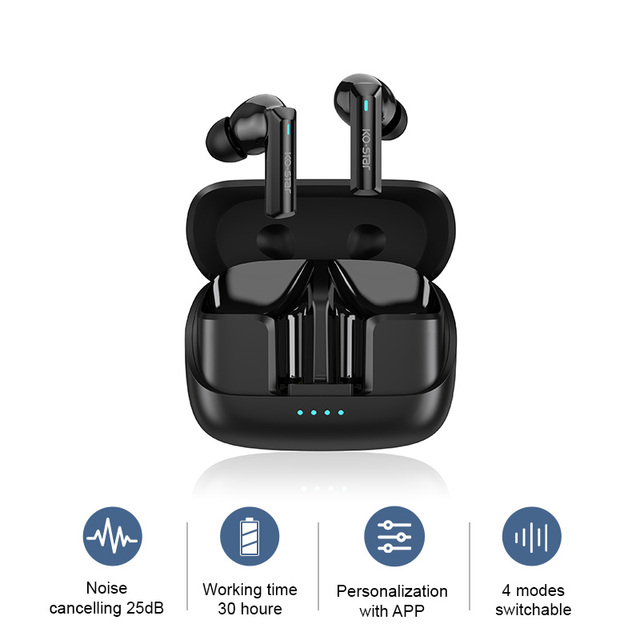 TWS Bluetooth Sport Earbuds Noise Cancelling Type C Charging Support Mobile App ROHS CE FCC Certified
