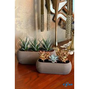 Set vaso di fiori Beige alto corallo di 2 dimensioni Karasu in plastica succulenta da balcone Set di vasi di fiori