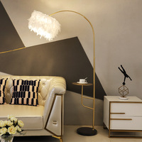 Lampadaire en plumes de style moderne, adapté aux salons, chambres à coucher, canapés, tables basses et tables de pêche.