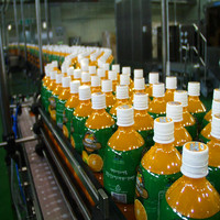Machine de remplissage et d'emballage automatique pour jus de fruits, 10 pièces, petite machine, remplissage, en plastique, pour boissons, ligne de production