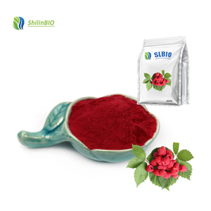 Chất lượng cao <span class=keywords><strong>Raspberry</strong></span> hương vị nước ép trái cây tập trung bột <span class=keywords><strong>Raspberry</strong></span> bột trái cây màu đỏ <span class=keywords><strong>Raspberry</strong></span> bột - Product Image 2