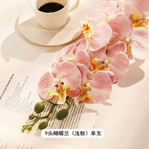 Phim lấp lánh Lan Hồ Điệp nhân tạo để thắp sáng lễ kỷ niệm đám cưới - Product Image 1