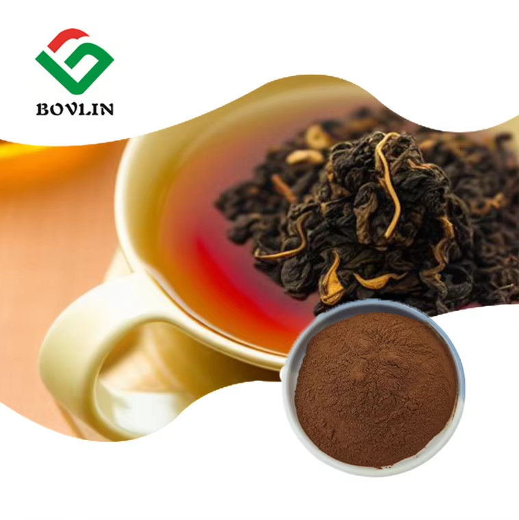 Wholesale Bulk Hot Sale Black Tea