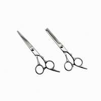 Ensemble professionnel de 2 outils de coiffure, ciseaux à effiler de 6 pouces en acier inoxydable, ciseaux droits pour couper les cheveux