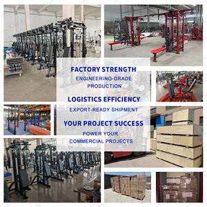 Paquete de Fitness Comercial, Conjunto Completo de Equipos Deportivos, Entrenador Funcional Personalizable, Directo de China, la Mejor Opción para Pequeñas Empresas y Startups - Product Image 3