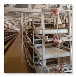 Poultry layer case cages for chickens babies ground support equipment