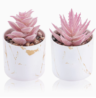 Tanaman Sukulen Buatan Grosir, Pot Plastik Pink, Set 4 Sukulen Mini Palsu, Tahan Lama, Ramah Lingkungan, Cocok untuk Pernikahan