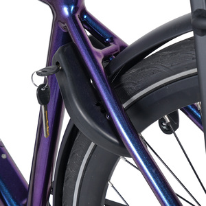 จักรยานไฟฟ้า <span class=keywords><strong>C60</strong></span> Ebike มอเตอร์ไร้แปรงถ่าน BAFANG พร้อมเซ็นเซอร์แรงบิด ระบบขับเคลื่อนด้วยสายพาน โครงสร้างอะลูมิเนียมอัลลอยด์ 3 สปีด สำหรับผู้หญิงและผู้ชาย - Product Image 6