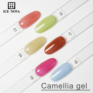 Vernis Gel Camellia Semi-Transparent Couleur 15ml – Collection Été – Échantillon de Vernis Gel – Fournitures pour Ongles – Kit de Vernis Gel - Product Image 4