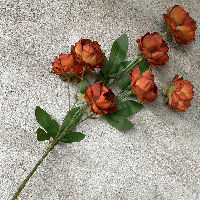 7 tête exquise pivoine couleur caramel