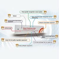 Système hydroponique automatique multifonctionnel intelligent entièrement équipé, fourni par l'usine, avec garantie d'un an pour l'intérieur