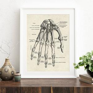 Organes du <span class=keywords><strong>corps</strong></span> <span class=keywords><strong>humain</strong></span> et pièces de squelette analyse affiche toile peinture moderne décoration de la maison peinture en gros - Product Image 4