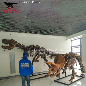 Réplique du squelette de dinosaure, t-rex et Triceratops, réplique de fossile - Product Image 5