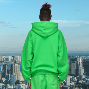 Sudadera con Capucha Casual de Invierno, de Algodón, Tejido Suave, Gráfico de Araña, Impresión Puff, Logotipo Personalizado, Fabricantes de Ropa - Product Image 3