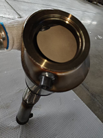 Filtro Antiparticolato DPF per BMW F06 640d