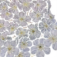 Tissu en dentelle florale 3D avec appliques, paillettes et perles pour robe de mariée, robe de soirée