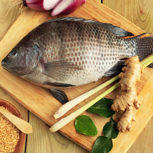 Acheter du tilapia vivant importé de Chine, tilapia en vente, <span class=keywords><strong>prix</strong></span> de gros <span class=keywords><strong>au</strong></span> <span class=keywords><strong>kg</strong></span> - Product Image 3